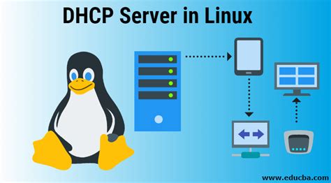 linux dccp.